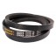 Classic V-belt 412237M1 suitable for Massey Ferguson [Continental Agridur]