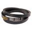 Classic V-belt 412237M1 suitable for Massey Ferguson [Continental Agridur]