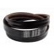 667981 - Wrapped banded belt 1423211 [Gates Agri]