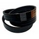 Wrapped banded belt 3HB108 [Carlisle]