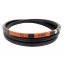 1408840R1 Double (hexagonal) V-belt suitable for CASE HCC126 [Harvest Belts Stomil]