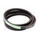 Classic V-belt 667456 [Claas] AVX13x1157 Agro Power [Optibelt]