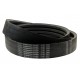 Wrapped banded belt 3HB-2900