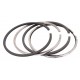Piston rings 3059262R92 Case, (4 rings) [Bepco]