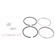 Engine piston rings 3059262R92 CASE, set 4 rings [Bepco]