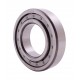 0002151150 - Claas Lexion - [ZVL] Cylindrical roller bearing