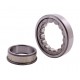 0002151150 - Claas Lexion - [ZVL] Cylindrical roller bearing