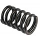 Valve spring internal 740465M1 Massey Ferguson