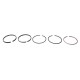 Piston ring set 745752M91 Massey Ferguson, 41158032 Perkins