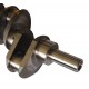 Crankshaft 3637458M91 Massey Ferguson