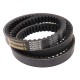 Classic V-belt (toothed) 80320935 New Holland [Continental Agridur]
