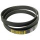 Multiple V-ribbed belt 8PK-2000 0285309 [Gates Agri]