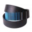 Wrapped banded belt 4HB-3950 [Roflex]