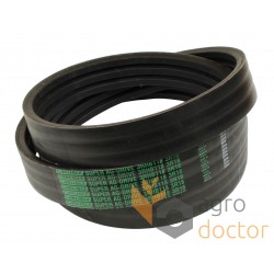 Wrapped banded belt 3HB118 [Carlisle]