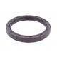 216605 CLAAS - Shaft seal 58x72x8 HMSA10 RG [SKF]