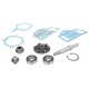 Engine water pump repair kit 737095M91 Massey Ferguson, [OMP]