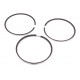 Piston rings 3144977R91 Case, (3 rings) [Power Seal]