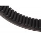 Variable speed belt (50x22-1690 La) 628847.0 suitable for Claas [Tagex Germany]