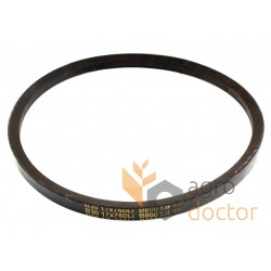 Classic V-belt B800 /B030 [Gates]