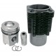 Piston-Liner Kit 02922970 Deutz-Fahr, 3 rings [Bepco]