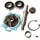 Water pump repair kit engine 3637483M91 Massey Ferguson, [Agro Parts]