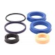 Hydraulic cylinder seal kit (656118+656114+ 218117+ 239422+712323) suitable for Claas