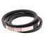 Classic V-belt (B-1285La) 603378.0 suitable for Claas [Tagex ]