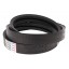 Wrapped banded belt (2HB-2050Lw) 667249.0 suitable for Claas [Tagex Germany]