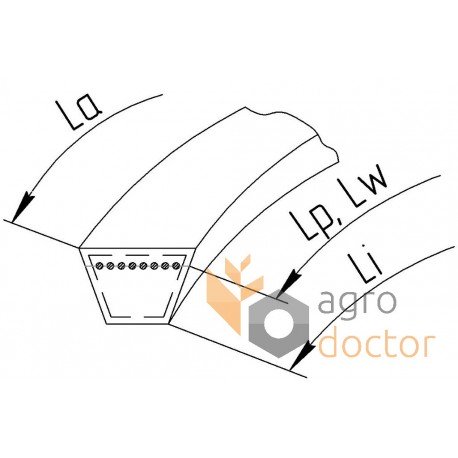 Classic V-belt (25-2130La) 417972M1 suitable for Massey Ferguson [Agrobelt ]