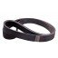 41979800 Fortschritt - Wrapped banded belt 4HB3530 [CZ]