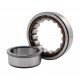 24941440 CNH [SKF] Cylindrical roller bearing