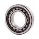 24941440 CNH [SKF] Cylindrical roller bearing