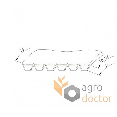 660554 - 0006605540 suitable for Claas Lexion - Wrapped banded belt 1449340 [Gates Agri]