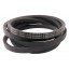 Classic V-belt 654013.0 suitable for Claas [Continental Conti-V]