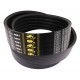D41978300 Massey Ferguson - Wrapped banded belt 0126271 [Gates Agri]