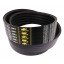 D41978300 Massey Ferguson - Wrapped banded belt 0126271 [Gates Agri]