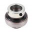412260M1 | 36205 Agco [SKF] - suitable for Massey Ferguson - Insert ball bearing
