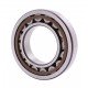 243460 | 0002434600 - suitable for Claas - [SKF] Cylindrical roller bearing