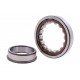 243460 | 0002434600 - suitable for Claas - [SKF] Cylindrical roller bearing