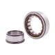 243497 | 0002434970 - suitable for Claas - [SKF] Cylindrical roller bearing
