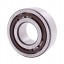 239360 | 2393601 | 0002393601 - adaptable pour Claas Lexion, Tucano, Mega - [SKF] Roulement à rouleaux cylindrique