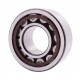 239360 | 2393601 | 0002393601 - suitable for Claas Lexion, Tucano, Mega - [SKF] Cylindrical roller bearing