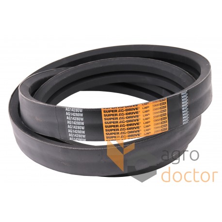 Wrapped banded belt 2HC108 [Carlisle]