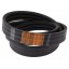 Wrapped banded belt 3RHB99 - AG14790W [Timken] suitable for Massey Ferguson