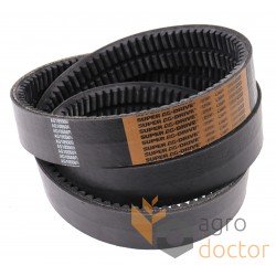 Wrapped banded belt 2HC81 [Carlisle]