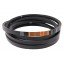 Classic V-belt AG12290W 26732833 suitable for Agco [Timken Super AG-Drive]