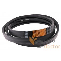 Wrapped banded belt 2HC160 [Carlisle]