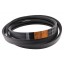 Wrapped banded belt 2RHC160 - AG14390W [Timken] suitable for John Deere