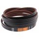 Wrapped banded belt 2RHB220 - AG19500W [Timken] suitable for Claas