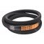 Classic V-belt AG16920W | 49575 suitable for CNH [Timken Super AG-Drive]
